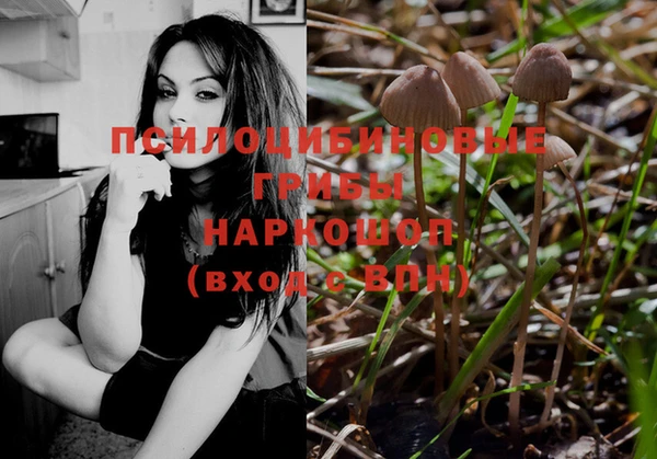 MDMA Медногорск