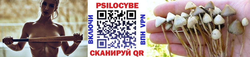 Купить  Шимановск  Галлюциногенные грибы мицелий 