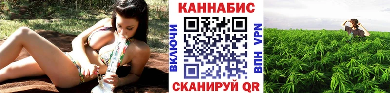 Купить  Шимановск  Бошки марихуана планчик 